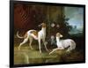 Misse and Turlu, Two Greyhounds of Louis XV-Jean-Baptiste Oudry-Framed Giclee Print