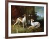 Misse and Turlu, Two Greyhounds of Louis XV-Jean-Baptiste Oudry-Framed Giclee Print