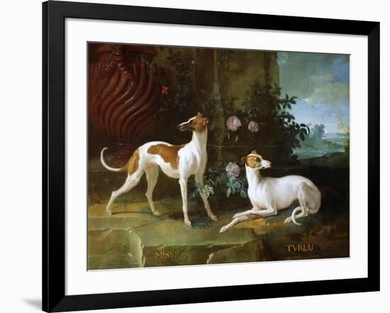 Misse and Turlu, Two Greyhounds of Louis XV-Jean-Baptiste Oudry-Framed Giclee Print
