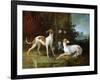 Misse and Turlu, Two Greyhounds of Louis XV-Jean-Baptiste Oudry-Framed Giclee Print