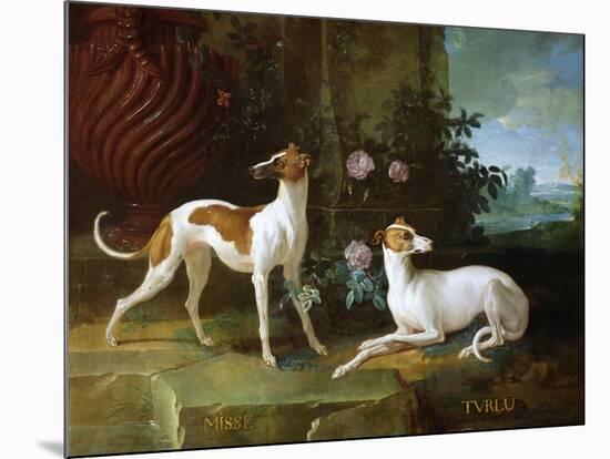 Misse and Turlu, Two Greyhounds of Louis XV-Jean-Baptiste Oudry-Mounted Giclee Print