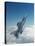 Missile-Armed Us F-16 Fighter Aircraft in Flight, Climbing Above Clouds-null-Stretched Canvas