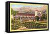 Mission and Grounds, Santa Barbara, California-null-Framed Stretched Canvas