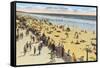 Mission Beach, San Diego, California-null-Framed Stretched Canvas