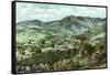 Mission Canyon, Santa Barbara, California-null-Framed Stretched Canvas