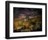 Mission Completed-Antonio Grambone-Framed Photographic Print