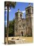 Mission Concepcion, San Antonio, Texas, United States of America, North America-Michael DeFreitas-Stretched Canvas