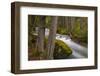 Mission Creek in Spring Near Saint Ignatius, Montana, Usa-Chuck Haney-Framed Photographic Print