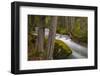 Mission Creek in Spring Near Saint Ignatius, Montana, Usa-Chuck Haney-Framed Photographic Print