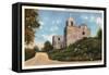 Mission La Bahia, Goliad, Texas-null-Framed Stretched Canvas