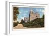 Mission La Bahia, Goliad, Texas-null-Framed Art Print