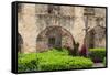 Mission San Jose in San Antonio, Texas, USA-Chuck Haney-Framed Stretched Canvas