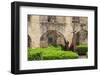 Mission San Jose in San Antonio, Texas, USA-Chuck Haney-Framed Photographic Print