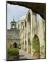 Mission San Jose, San Antonio, Texas, USA-Ethel Davies-Mounted Photographic Print