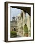 Mission San Jose, San Antonio, Texas, USA-Ethel Davies-Framed Photographic Print