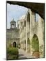 Mission San Jose, San Antonio, Texas, USA-Ethel Davies-Mounted Photographic Print