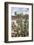 Mission San Jose-Larry Ditto-Framed Photographic Print