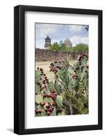 Mission San Jose-Larry Ditto-Framed Photographic Print