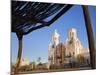 Mission San Xavier Del Bac, Tucson, Arizona, United States of America, North America-Richard Cummins-Mounted Photographic Print