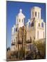 Mission San Xavier Del Bac, Tucson, Arizona, United States of America, North America-Richard Cummins-Mounted Photographic Print