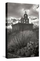 Mission San Xavier III-George Johnson-Stretched Canvas