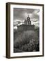 Mission San Xavier III-George Johnson-Framed Photographic Print