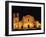 Mission Sao Miguel, Rio Grande Do Sul, Brazil-null-Framed Photographic Print