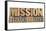 Mission Statement-PixelsAway-Framed Stretched Canvas