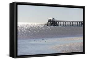 Mississippi, Bay St Louis. Shorebirds and Pier Seen from Marina-Trish Drury-Framed Stretched Canvas