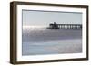 Mississippi, Bay St Louis. Shorebirds and Pier Seen from Marina-Trish Drury-Framed Photographic Print