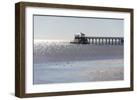 Mississippi, Bay St Louis. Shorebirds and Pier Seen from Marina-Trish Drury-Framed Photographic Print