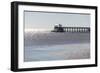 Mississippi, Bay St Louis. Shorebirds and Pier Seen from Marina-Trish Drury-Framed Photographic Print