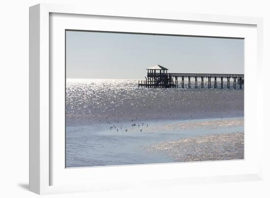 Mississippi, Bay St Louis. Shorebirds and Pier Seen from Marina-Trish Drury-Framed Photographic Print