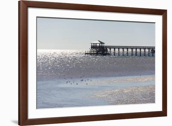 Mississippi, Bay St Louis. Shorebirds and Pier Seen from Marina-Trish Drury-Framed Photographic Print