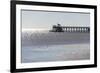 Mississippi, Bay St Louis. Shorebirds and Pier Seen from Marina-Trish Drury-Framed Photographic Print