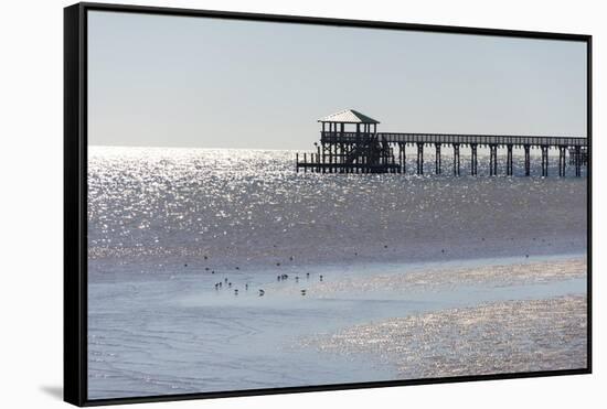 Mississippi, Bay St Louis. Shorebirds and Pier Seen from Marina-Trish Drury-Framed Stretched Canvas