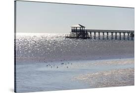 Mississippi, Bay St Louis. Shorebirds and Pier Seen from Marina-Trish Drury-Stretched Canvas