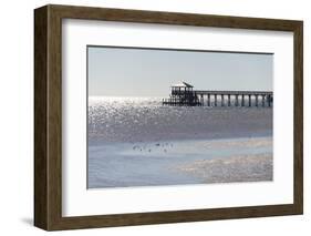 Mississippi, Bay St Louis. Shorebirds and Pier Seen from Marina-Trish Drury-Framed Photographic Print