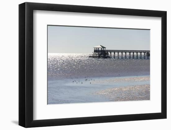 Mississippi, Bay St Louis. Shorebirds and Pier Seen from Marina-Trish Drury-Framed Photographic Print