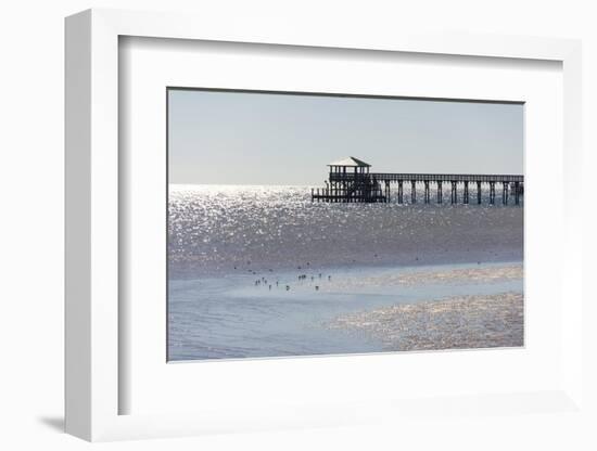 Mississippi, Bay St Louis. Shorebirds and Pier Seen from Marina-Trish Drury-Framed Photographic Print