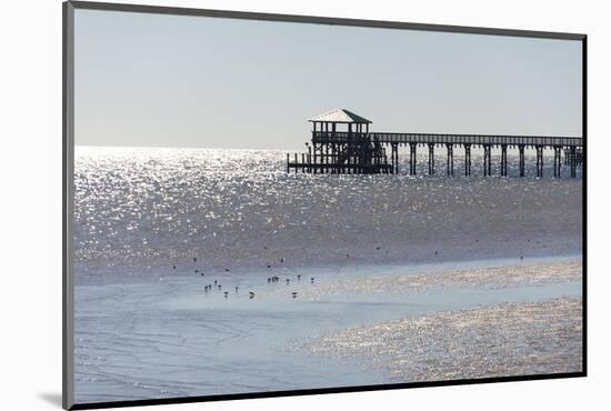 Mississippi, Bay St Louis. Shorebirds and Pier Seen from Marina-Trish Drury-Mounted Photographic Print