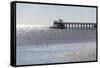 Mississippi, Bay St Louis. Shorebirds and Pier Seen from Marina-Trish Drury-Framed Stretched Canvas