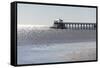 Mississippi, Bay St Louis. Shorebirds and Pier Seen from Marina-Trish Drury-Framed Stretched Canvas