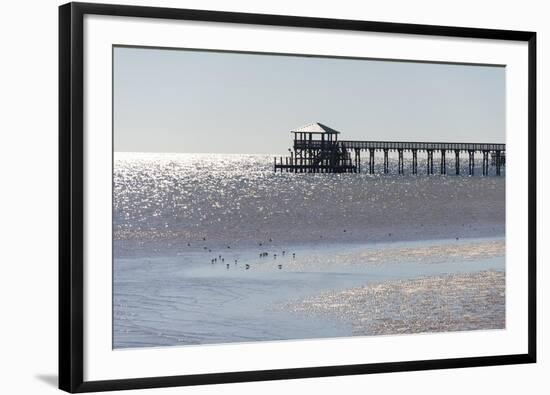 Mississippi, Bay St Louis. Shorebirds and Pier Seen from Marina-Trish Drury-Framed Photographic Print