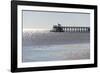 Mississippi, Bay St Louis. Shorebirds and Pier Seen from Marina-Trish Drury-Framed Photographic Print