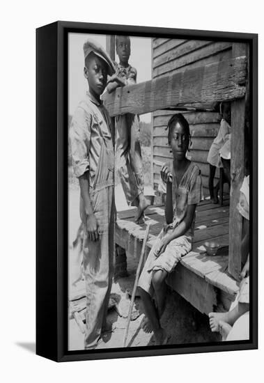 Mississippi Delta Negro Children-Dorothea Lange-Framed Stretched Canvas