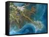 Mississippi Delta, Satellite Image-PLANETOBSERVER-Framed Stretched Canvas