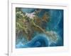 Mississippi Delta, Satellite Image-PLANETOBSERVER-Framed Photographic Print