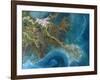 Mississippi Delta, Satellite Image-PLANETOBSERVER-Framed Photographic Print