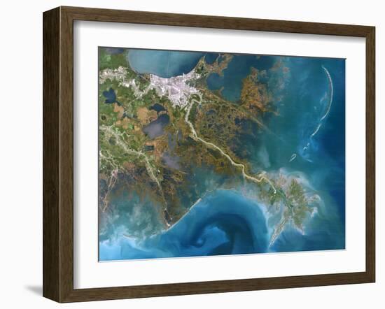 Mississippi Delta, Satellite Image-PLANETOBSERVER-Framed Photographic Print